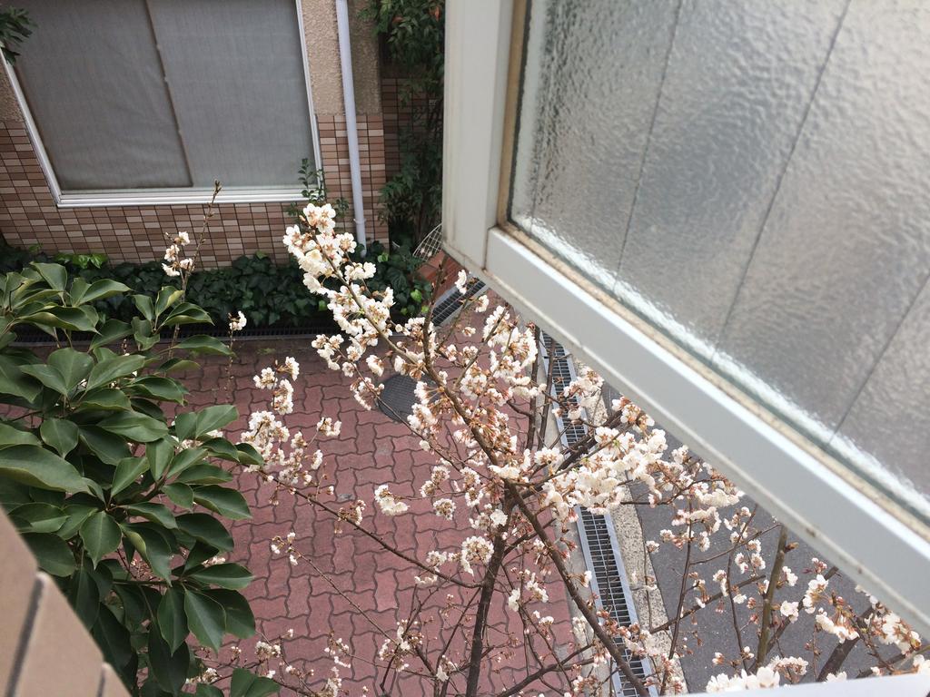 阪急感度假屋 大阪 外观 照片